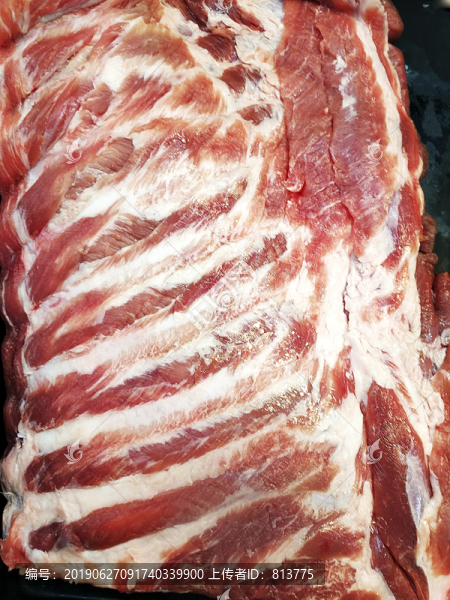 豬排肉