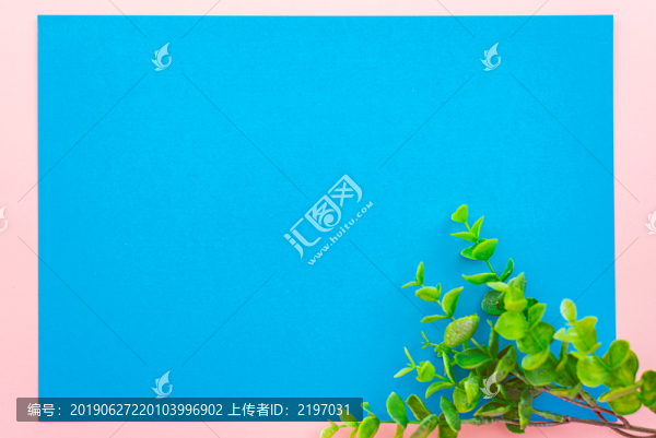 清新