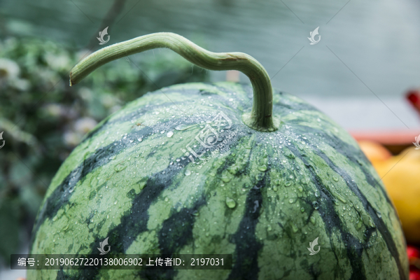 西瓜