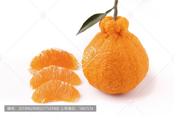 不知火