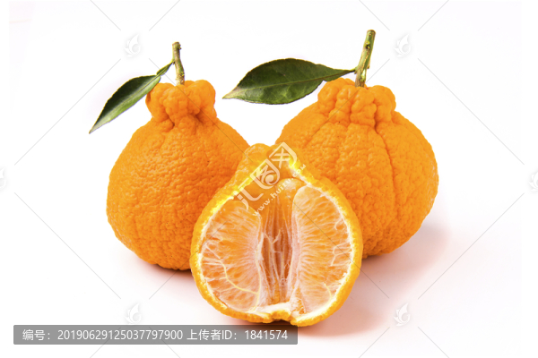 丑柑