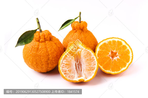 新鮮丑橘