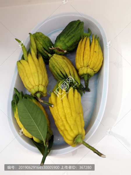 佛手果