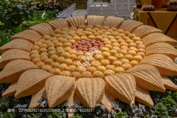壽光蔬菜博覽園