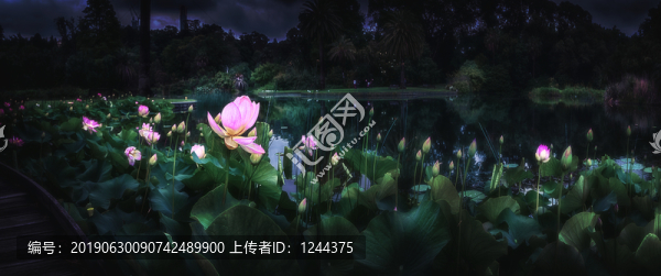 墨爾本風景26