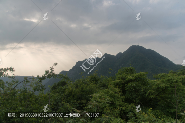王山坪森林風(fēng)光