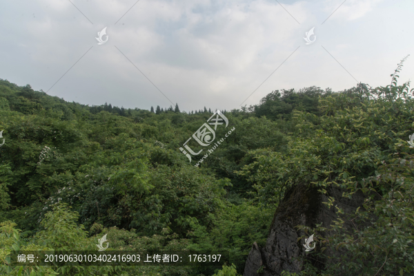 王山坪森林風光