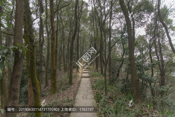 山林道路