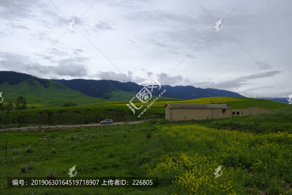 綠色田野