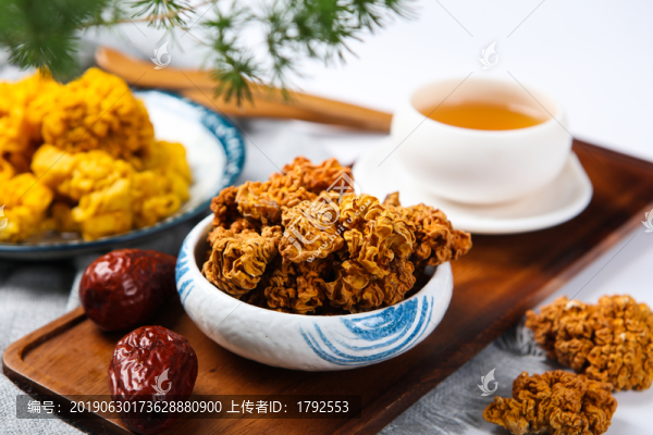 黃金木耳