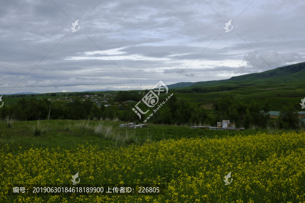 綠色田野
