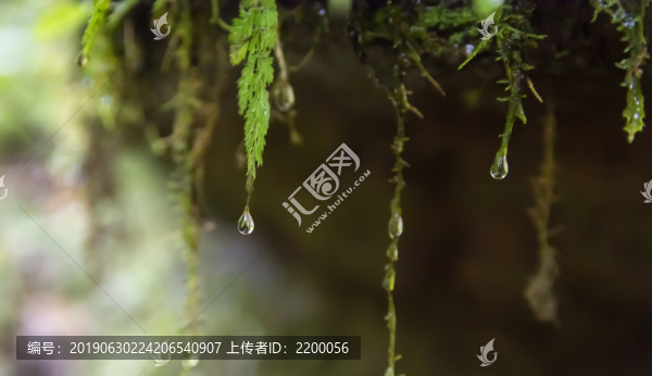 水滴
