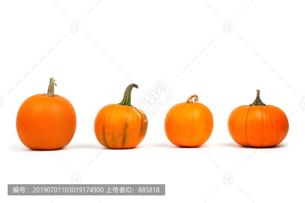 小南瓜