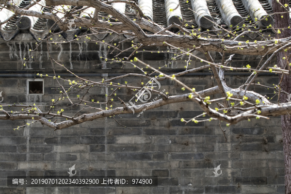 大覺寺