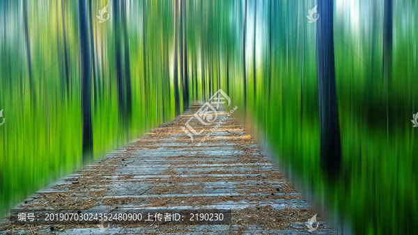 綠色森林