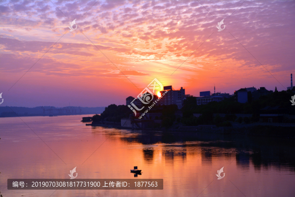 晨陽