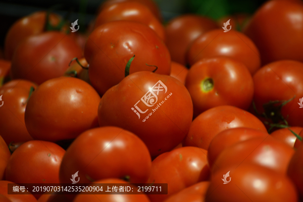 小西紅柿