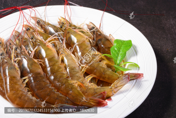 基圍蝦高清圖