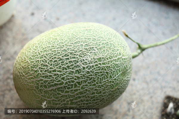 西州蜜哈密瓜