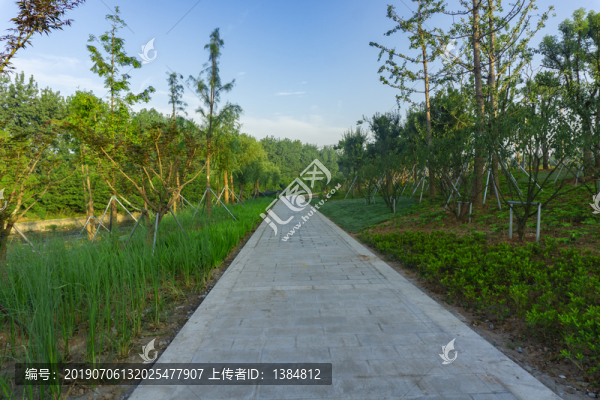 公園風(fēng)光