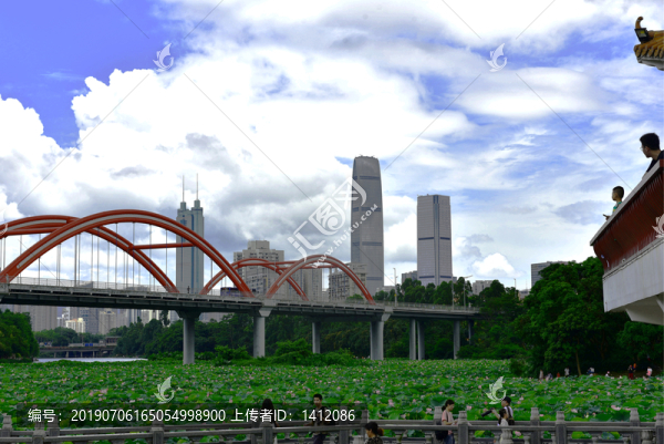 深圳洪湖公園彩虹橋