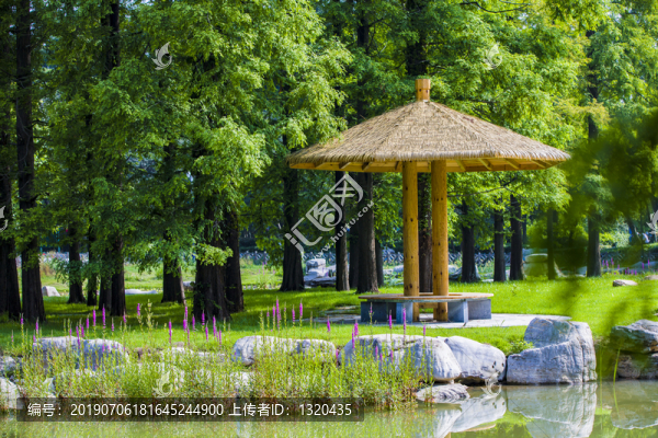 園林樹林景觀