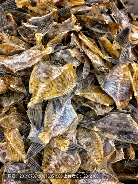 扒皮魚