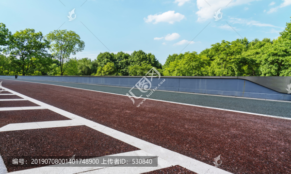道路地面和綠樹林