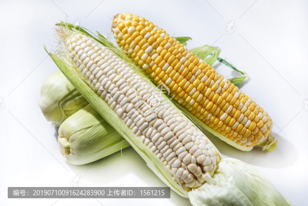 玉米新鮮嫩玉米
