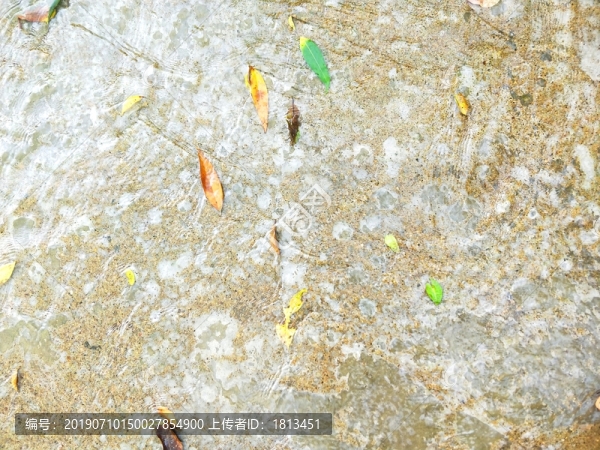 枯葉背景