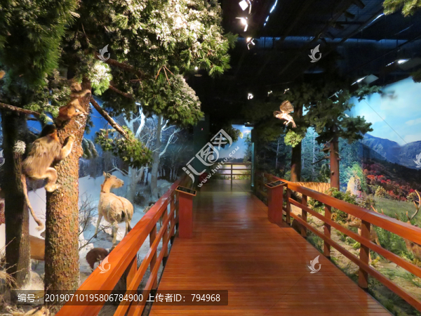 自然博物館展陳
