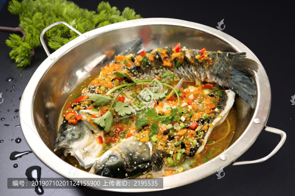 跳水魚(yú)