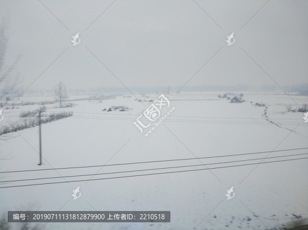 雪原