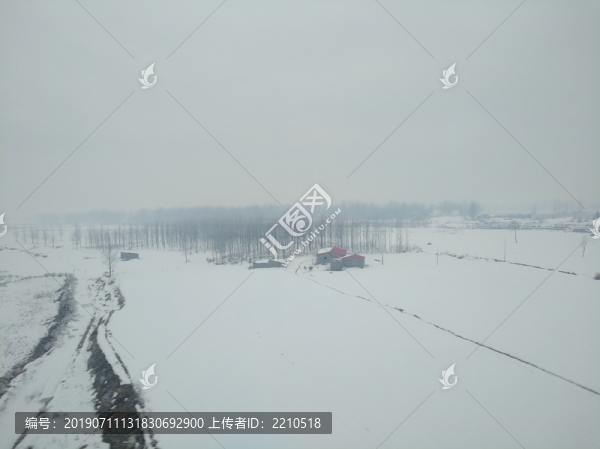 雪原