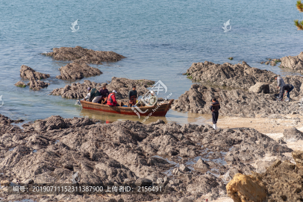趕海