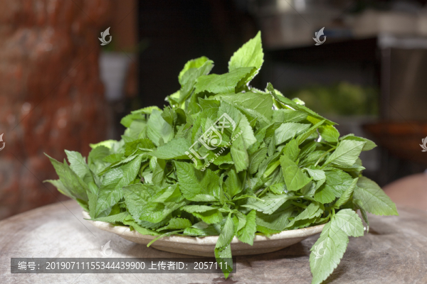 鬼針草野菜