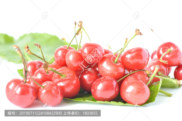 櫻桃
