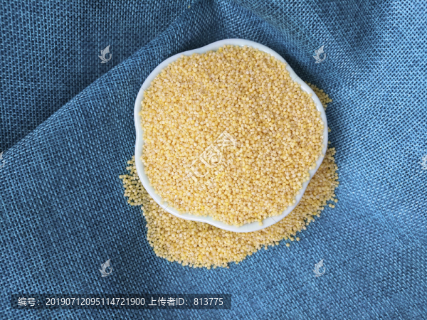黃小米素材