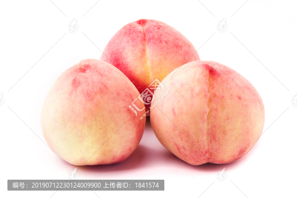 毛桃