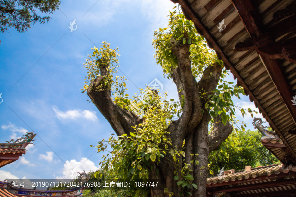 元元寺