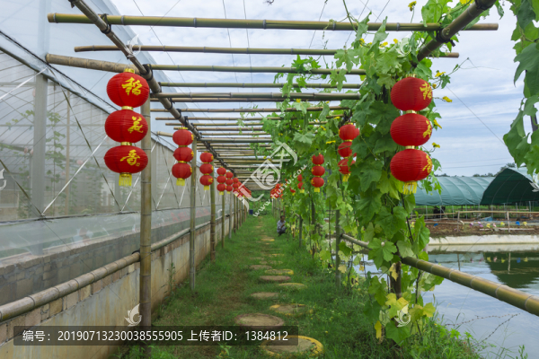創(chuàng)意竹藝走廊
