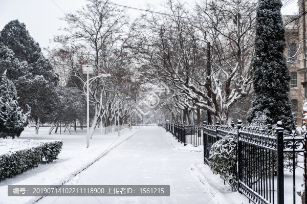 旅順博物館的路
