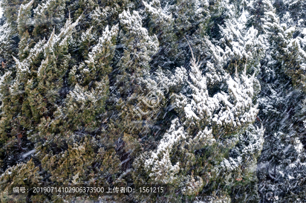 冰雪旅順口風光