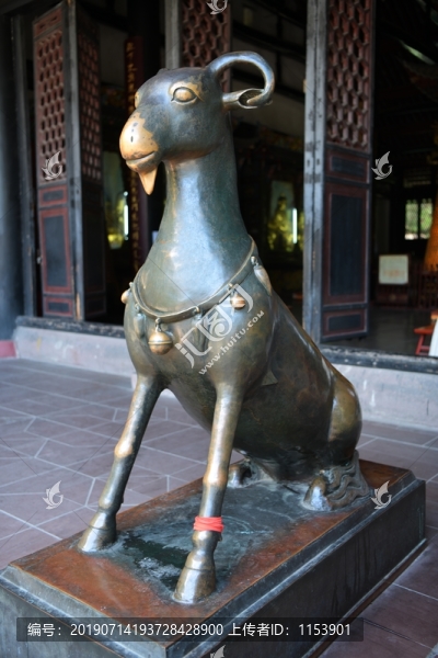 青羊