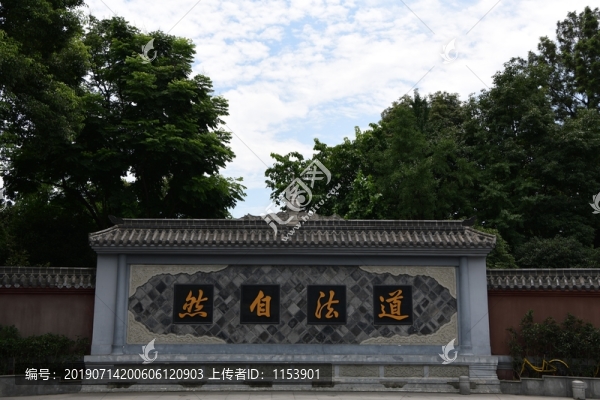 道法自然