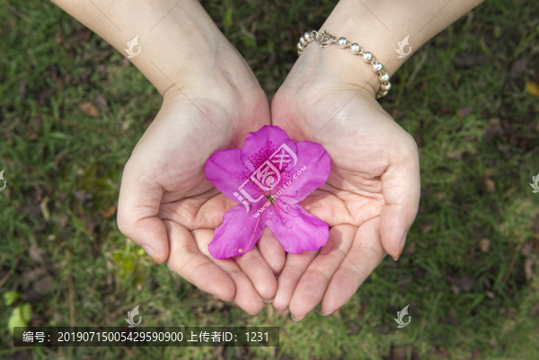 手捧花卉