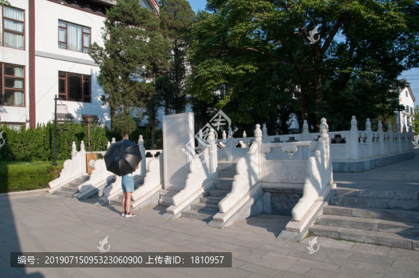 七葉樹