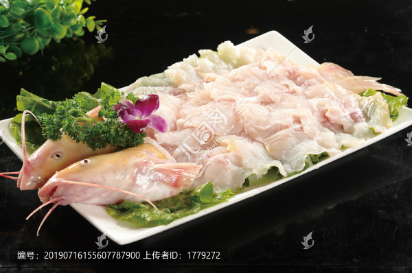 長江鮰魚