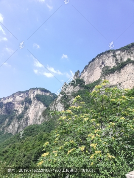 山