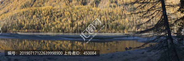 喀納斯秋色